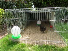 Ausnüchterung groß 2.jpg