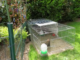 Ausnüchterung groß 3.jpg