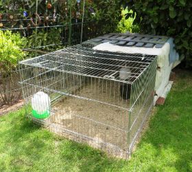 Ausnüchterung groß.jpg