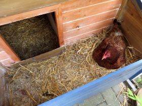 Legenester von innen 1.jpg