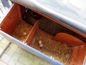 Legenester von innen 3.jpg