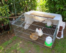 Ausnüchterung 2015.jpg